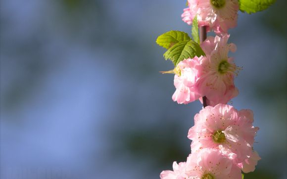 棋山国家森林公园门票多少钱?
