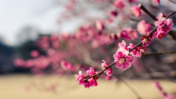 信阳市南湾湖有多大